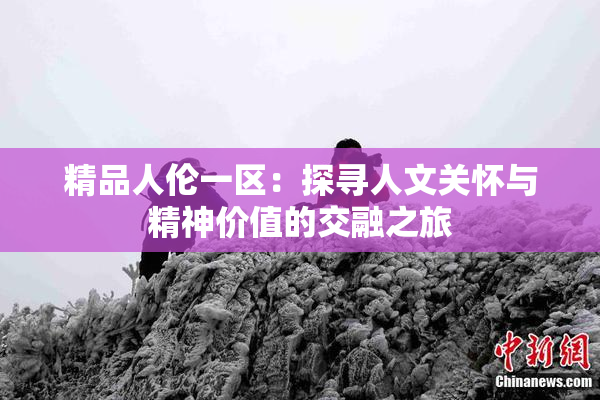 精品人伦一区：探寻人文关怀与精神价值的交融之旅