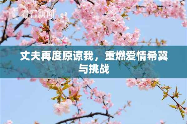 丈夫再度原谅我，重燃爱情希冀与挑战