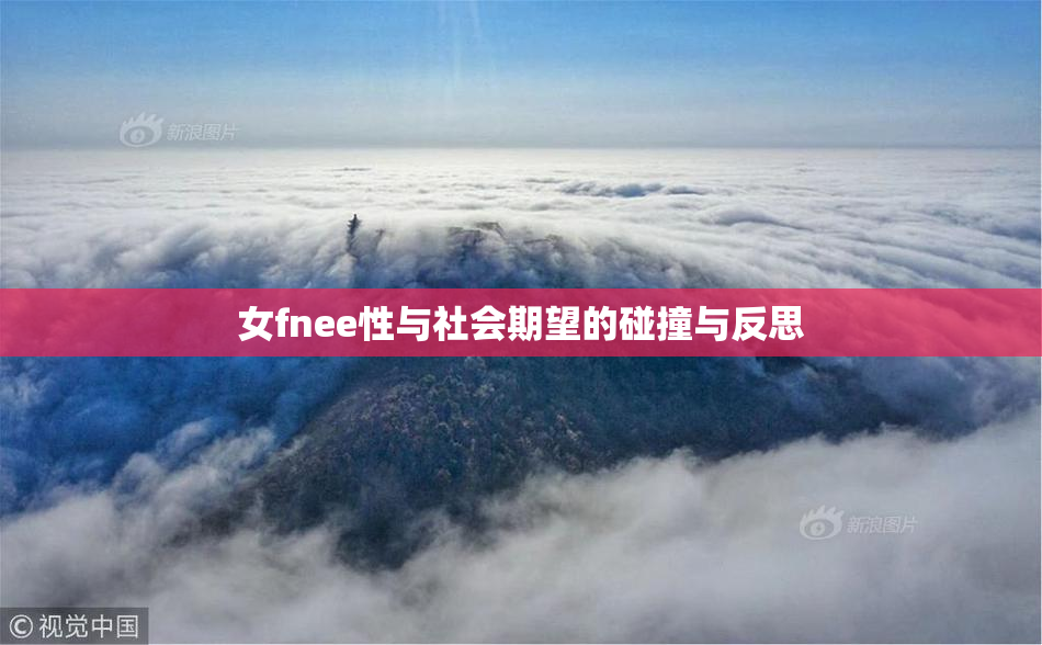 女fnee性与社会期望的碰撞与反思