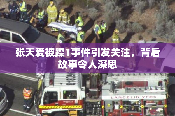 张天爱被躁1事件引发关注，背后故事令人深思