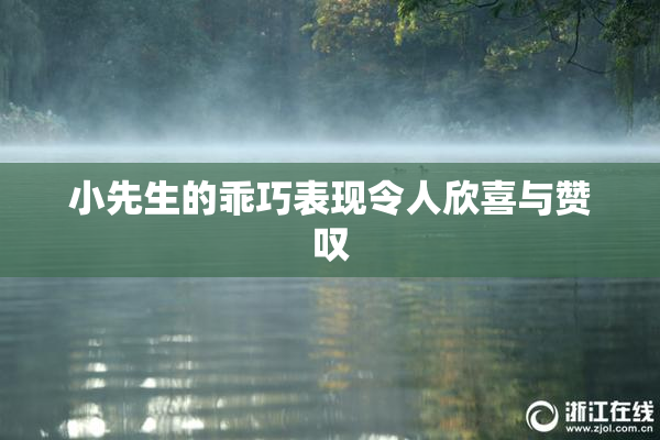 小先生的乖巧表现令人欣喜与赞叹