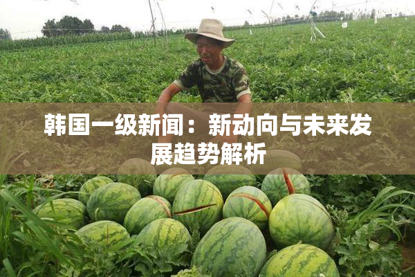 韩国一级新闻：新动向与未来发展趋势解析