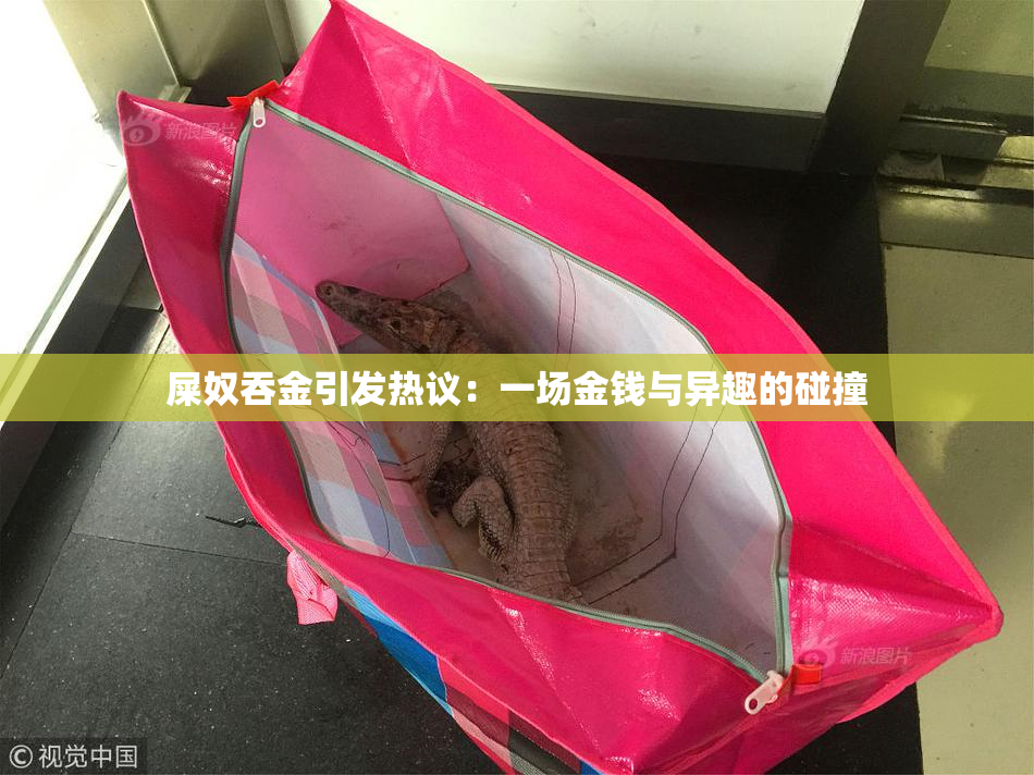 屎奴吞金引发热议：一场金钱与异趣的碰撞