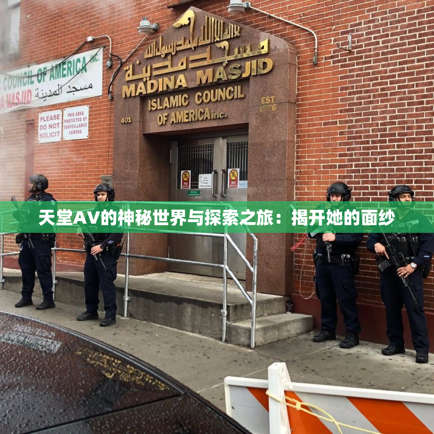 天堂A∨的神秘世界与探索之旅：揭开她的面纱