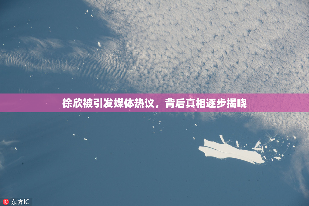 徐欣被引发媒体热议，背后真相逐步揭晓