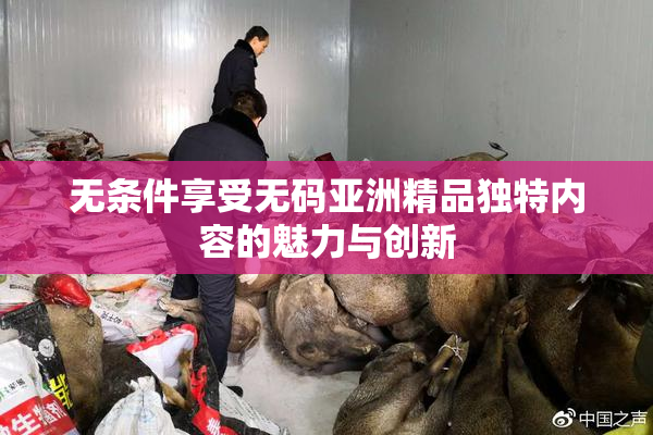 无条件享受无码亚洲精品独特内容的魅力与创新