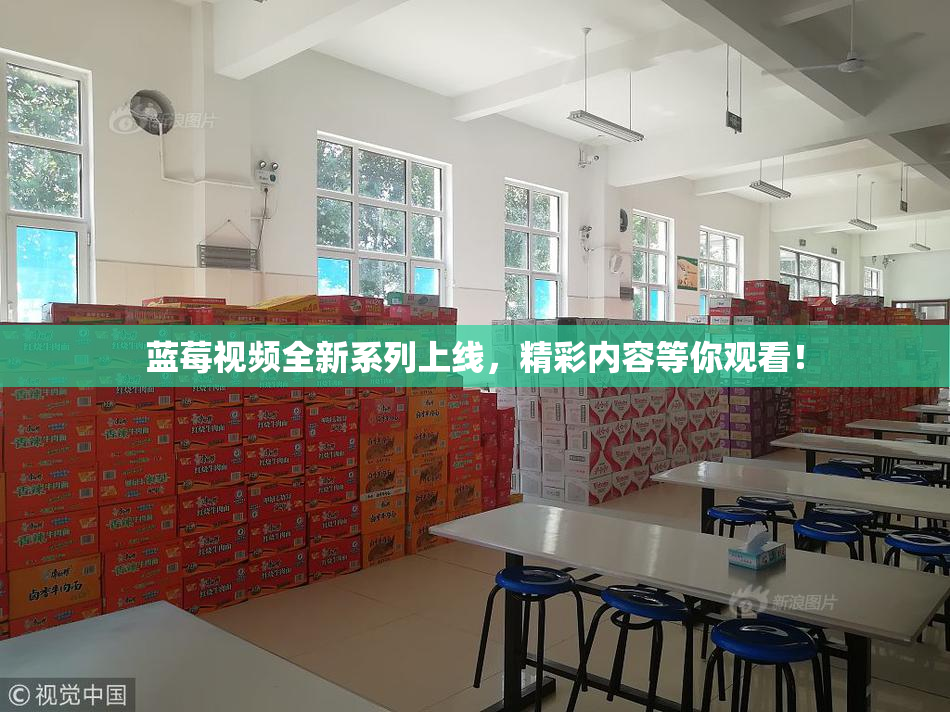 蓝莓视频全新系列上线，精彩内容等你观看！