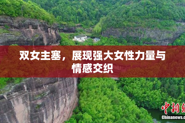 双女主塞，展现强大女性力量与情感交织
