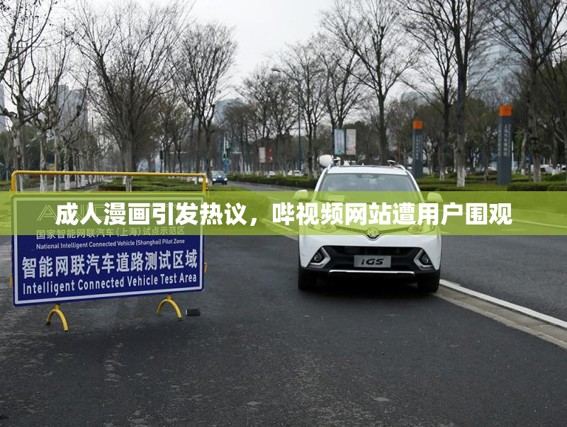 成人漫画引发热议，哔视频网站遭用户围观