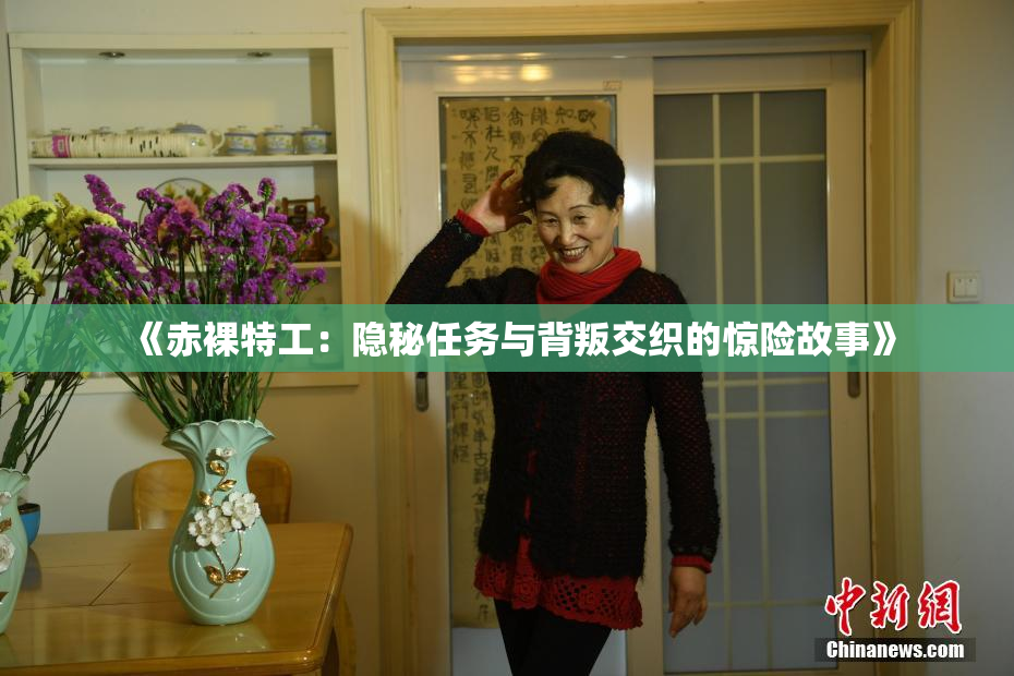 《赤裸特工：隐秘任务与背叛交织的惊险故事》