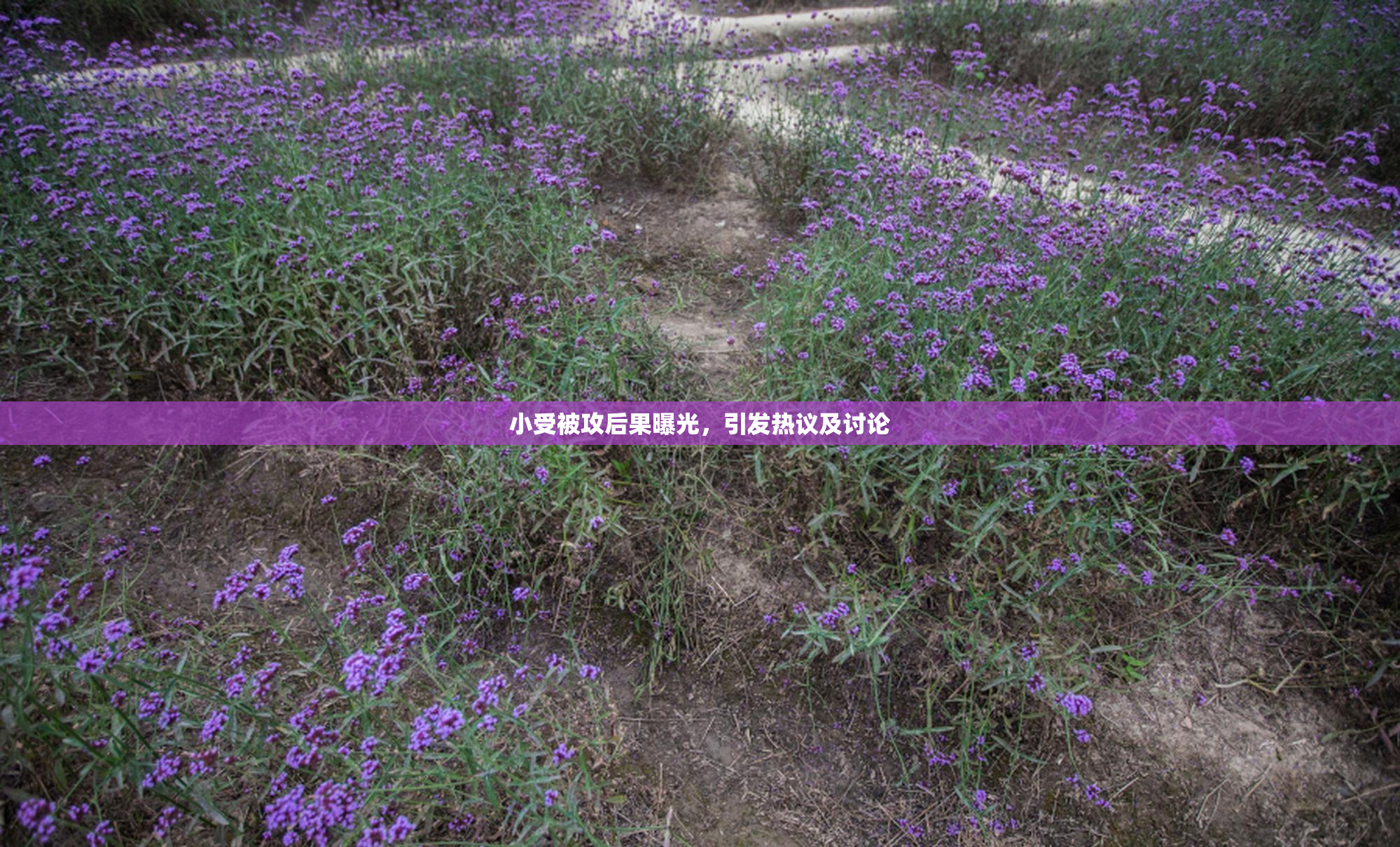 小受被攻后果曝光，引发热议及讨论