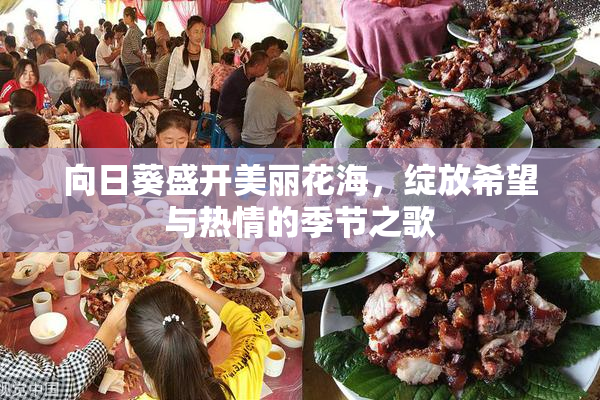 向日葵盛开美丽花海，绽放希望与热情的季节之歌