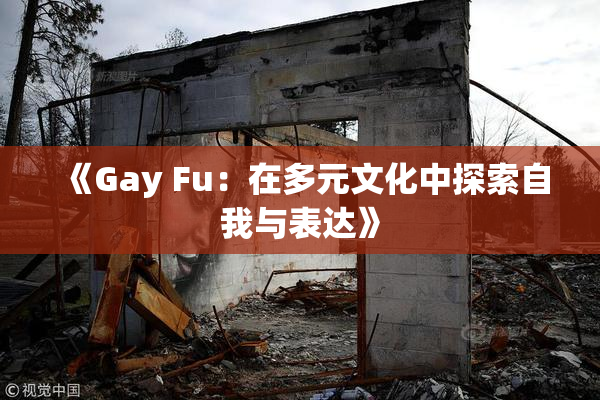 《Gay Fu：在多元文化中探索自我与表达》