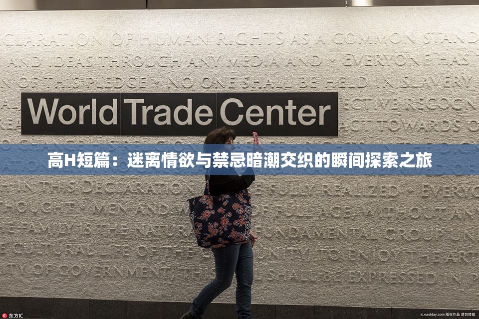 高H短篇：迷离情欲与禁忌暗潮交织的瞬间探索之旅