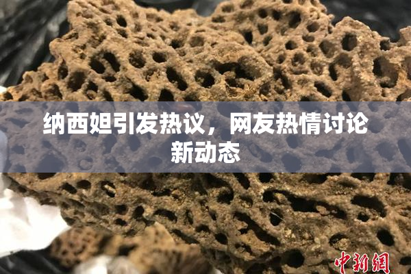 纳西妲引发热议，网友热情讨论新动态