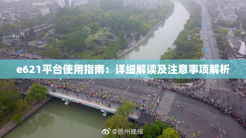 e621平台使用指南：详细解读及注意事项解析