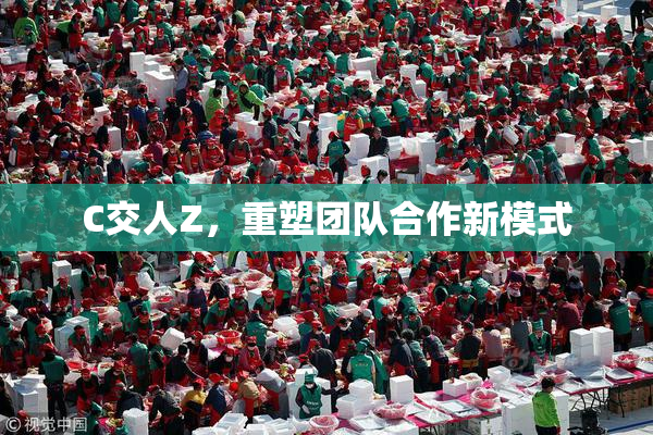 C交人Z，重塑团队合作新模式