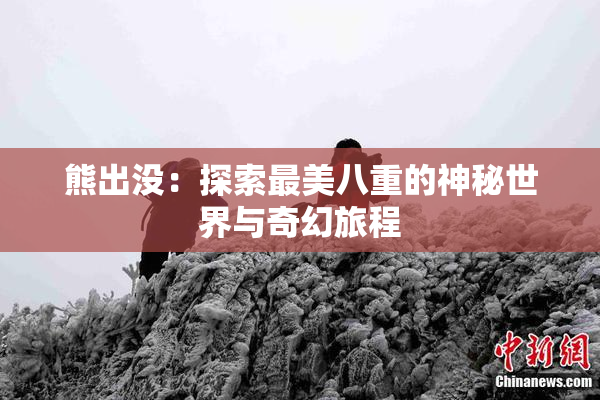 熊出没：探索最美八重的神秘世界与奇幻旅程