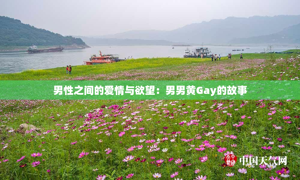 男性之间的爱情与欲望：男男黄Gay的故事