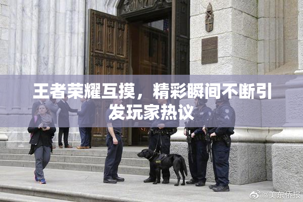 王者荣耀互摸，精彩瞬间不断引发玩家热议
