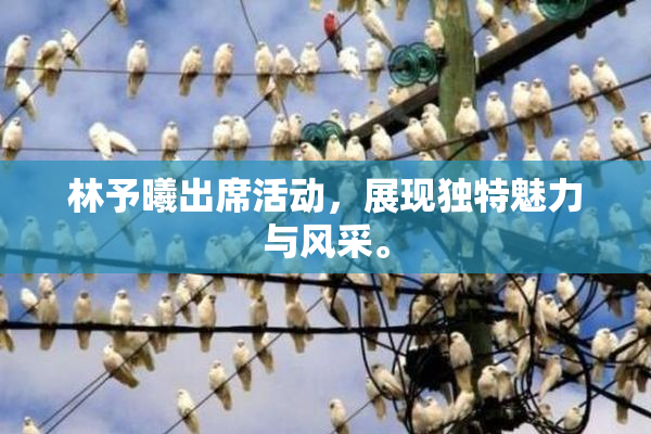 林予曦出席活动，展现独特魅力与风采。
