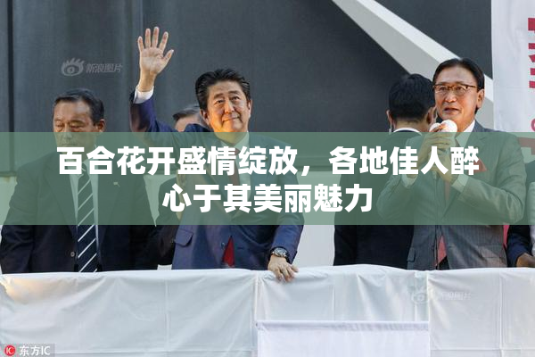 百合花开盛情绽放，各地佳人醉心于其美丽魅力