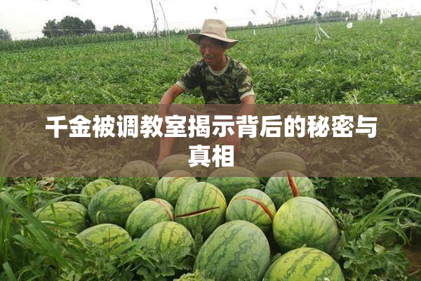 千金被调教室揭示背后的秘密与真相