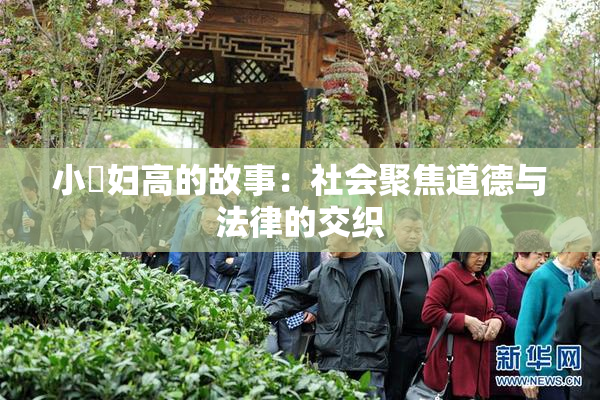 小婬妇高的故事：社会聚焦道德与法律的交织