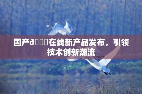 国产🔞在线新产品发布，引领技术创新潮流