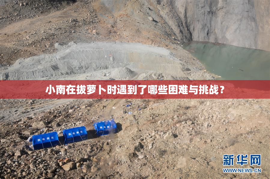 小南在拔萝卜时遇到了哪些困难与挑战？