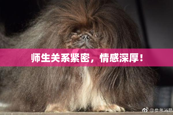 师生关系紧密，情感深厚！
