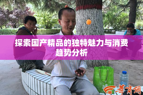 探索国产精品的独特魅力与消费趋势分析