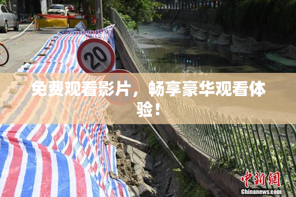 免费观看影片，畅享豪华观看体验！