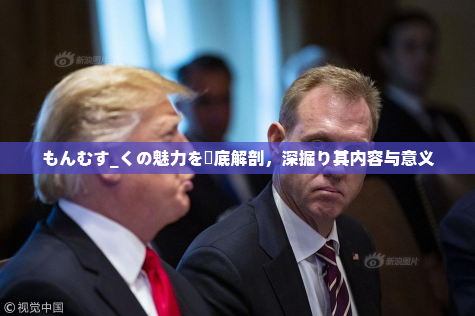 もんむす_くの魅力を徹底解剖，深掘り其内容与意义