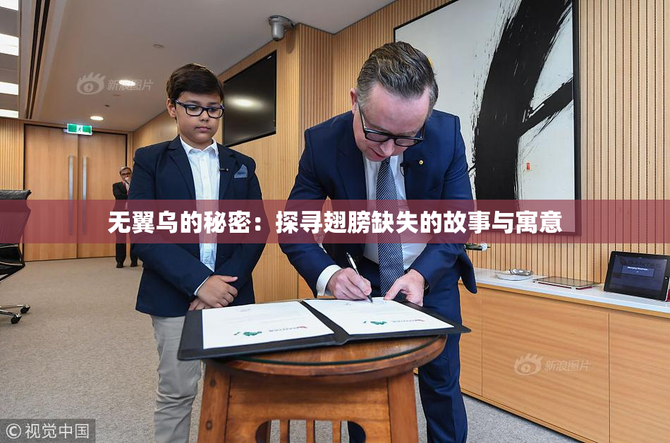 无翼乌的秘密：探寻翅膀缺失的故事与寓意
