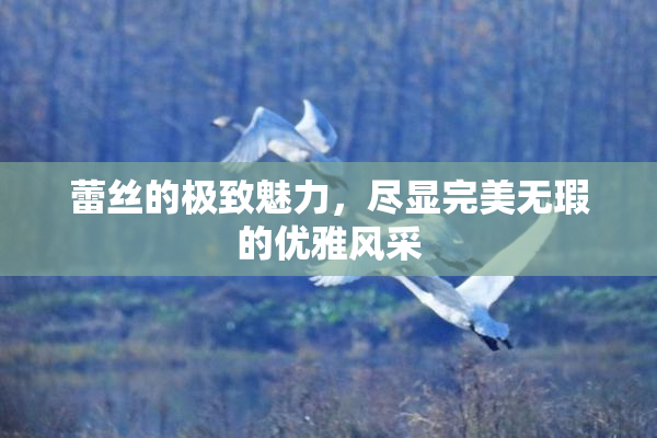 蕾丝的极致魅力，尽显完美无瑕的优雅风采