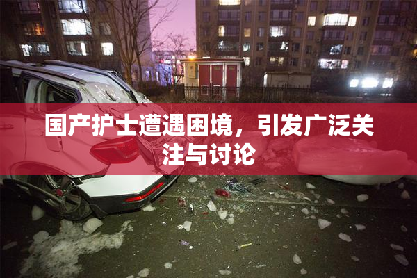 国产护士遭遇困境，引发广泛关注与讨论