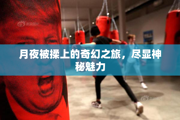 月夜被揉上的奇幻之旅，尽显神秘魅力
