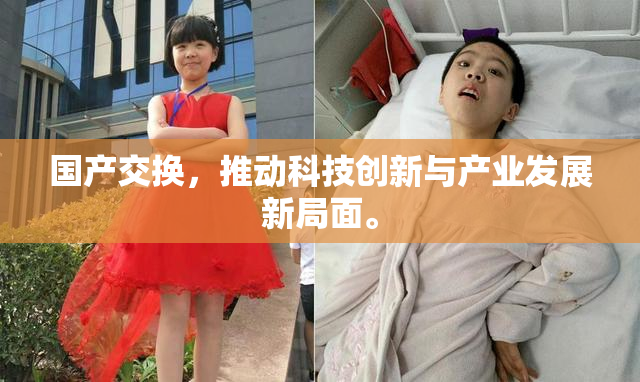国产交换，推动科技创新与产业发展新局面。