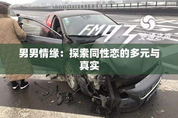 男男情缘：探索同性恋的多元与真实