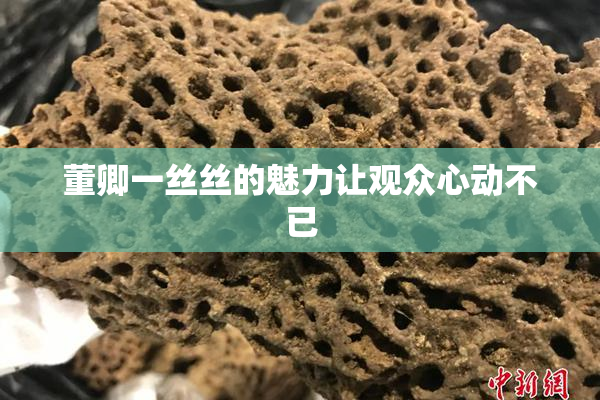 董卿一丝丝的魅力让观众心动不已