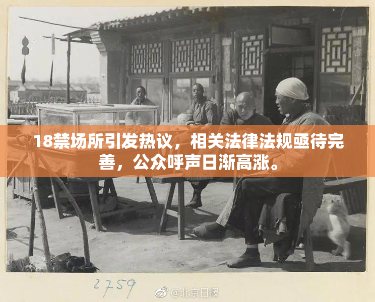 18禁场所引发热议，相关法律法规亟待完善，公众呼声日渐高涨。