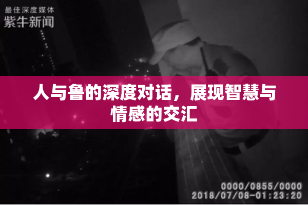 人与鲁的深度对话，展现智慧与情感的交汇