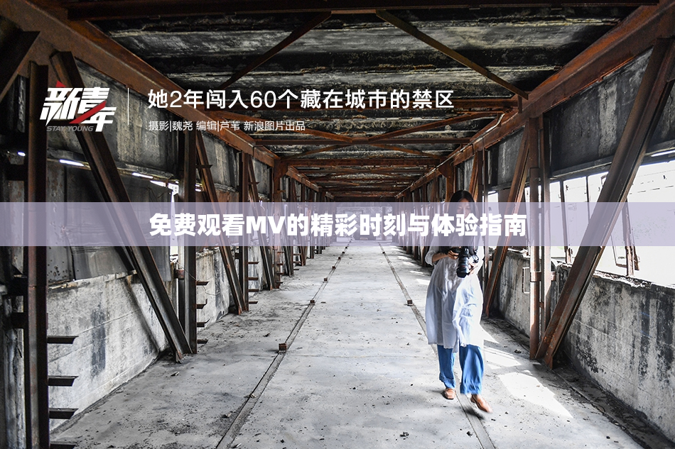 免费观看MV的精彩时刻与体验指南