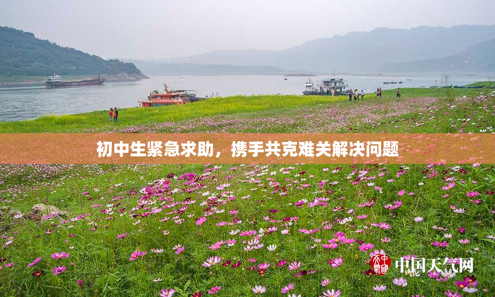 初中生紧急求助，携手共克难关解决问题