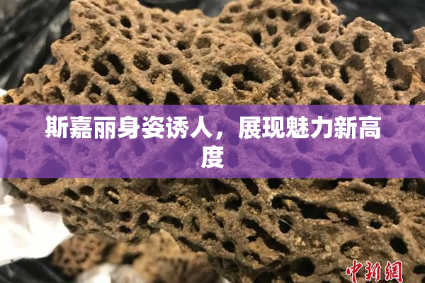 斯嘉丽身姿诱人，展现魅力新高度