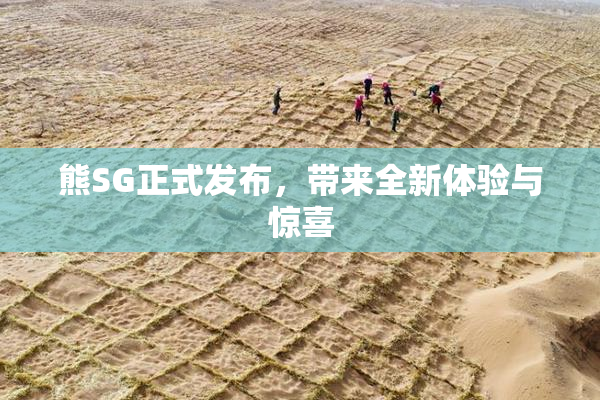 熊SG正式发布，带来全新体验与惊喜