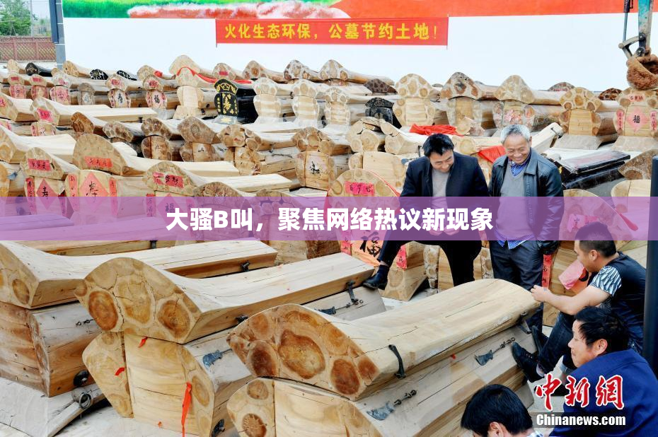 大骚B叫，聚焦网络热议新现象