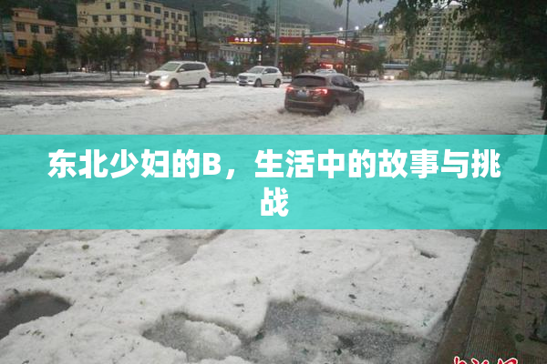 东北少妇的B，生活中的故事与挑战