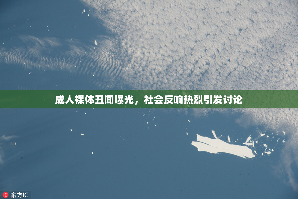成人裸体丑闻曝光，社会反响热烈引发讨论